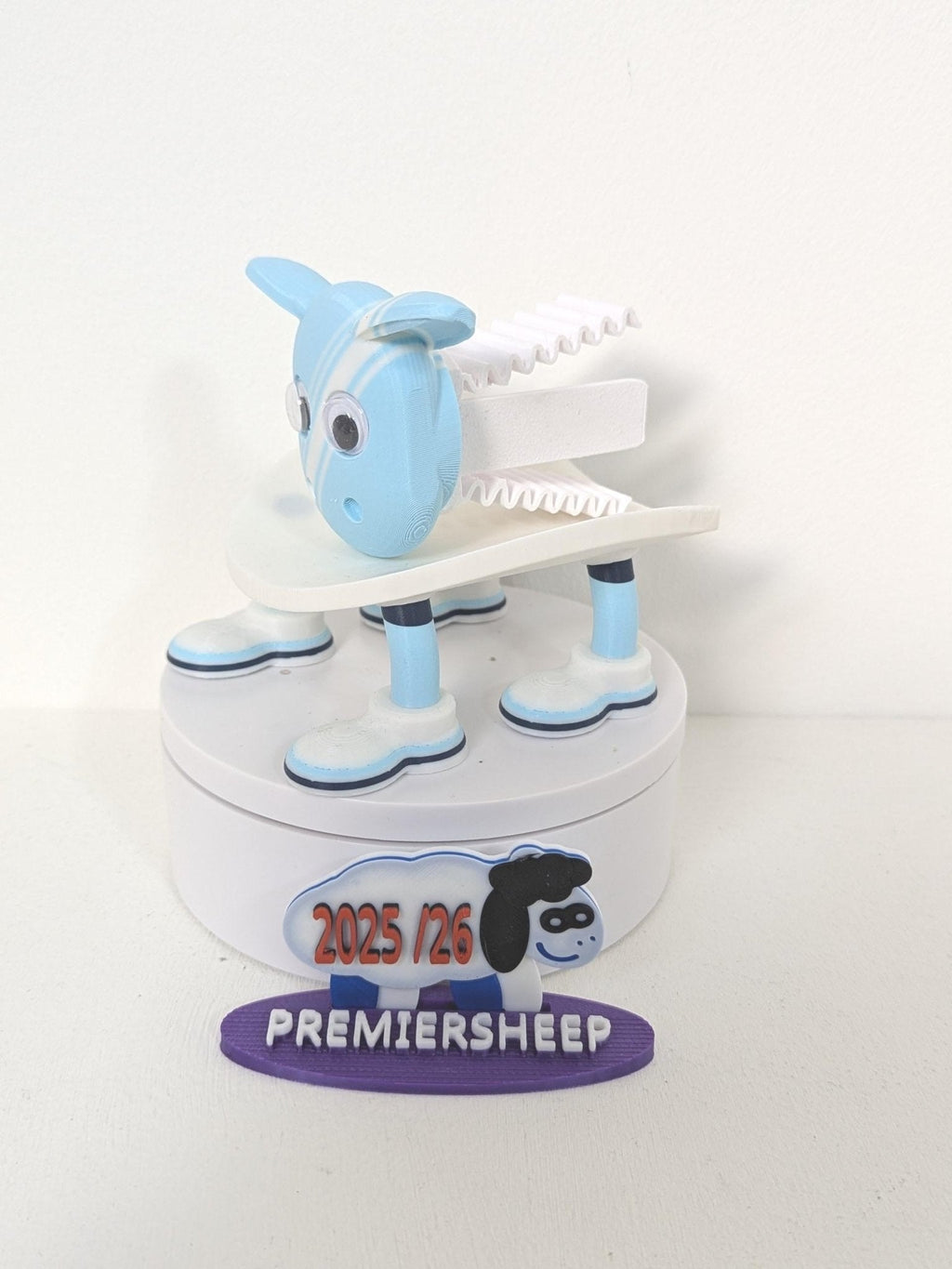 Chaddyverse Manchester City Toilet Roll Holder – 2025/26 Football Fan Gift