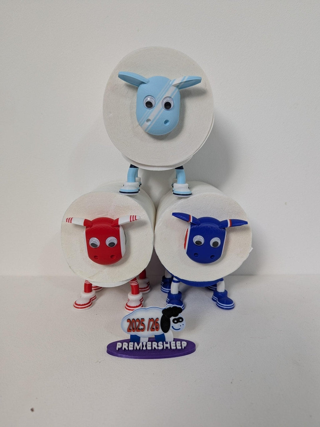 Chaddyverse Manchester City Toilet Roll Holder – 2025/26 Football Fan Gift