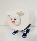 Preston North End Toilet Roll Holder – 2025/26 Football Fan Gift