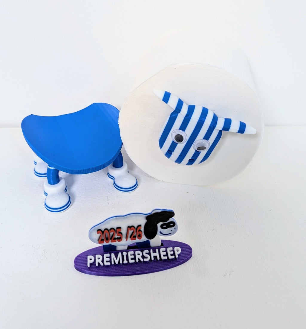 Chaddyverse Sheffield Wednesday Toilet Roll Holder – 2025/26 Football Gift