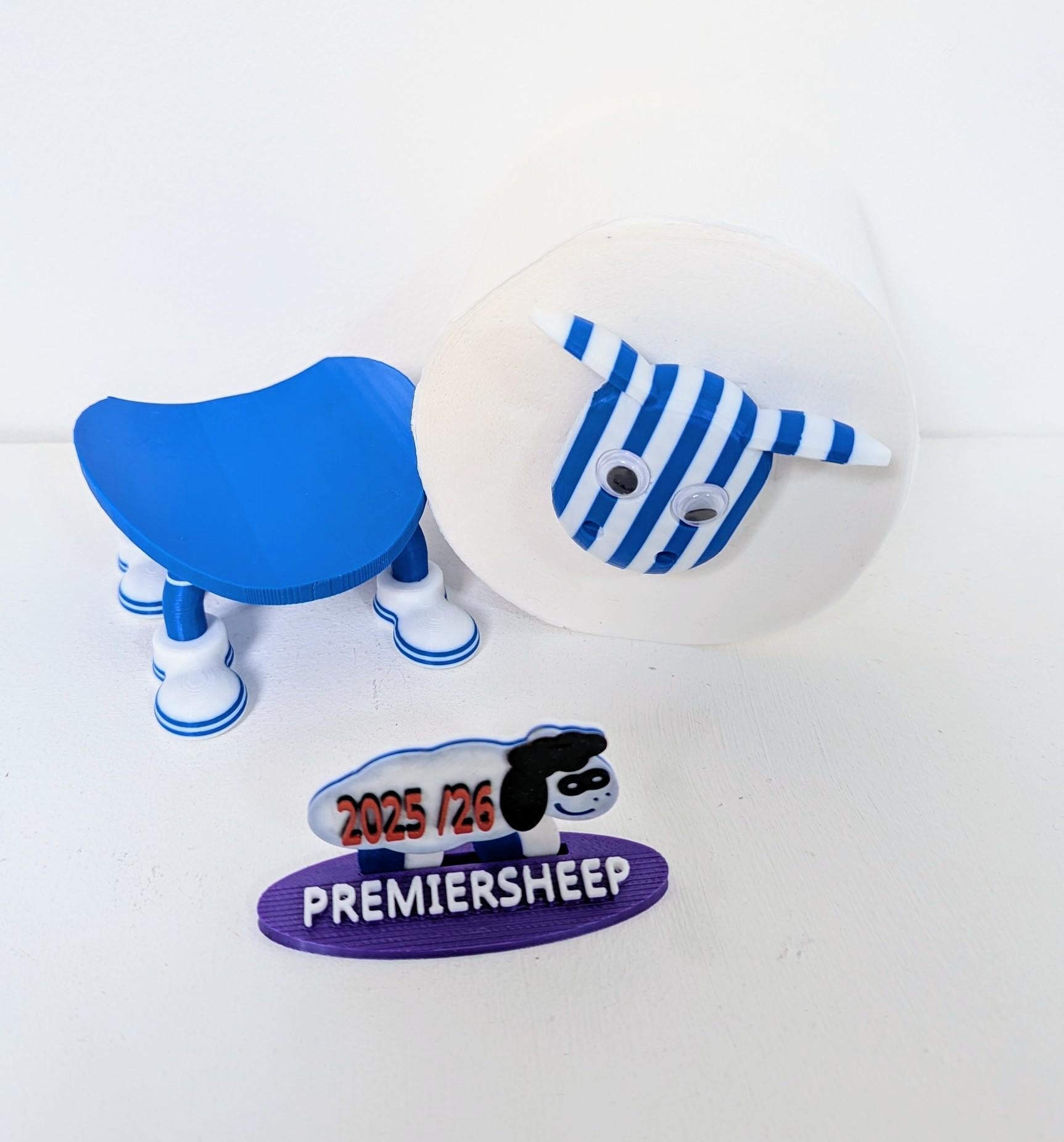 Chaddyverse Sheffield Wednesday Toilet Roll Holder – 2025/26 Football Gift