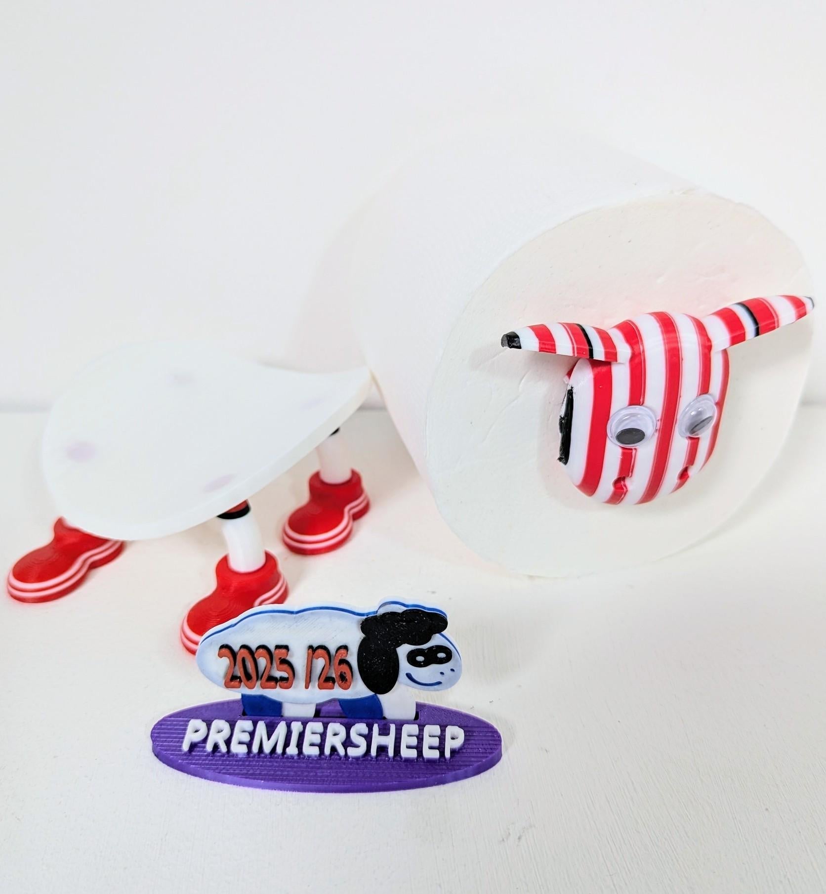 Chaddyverse Stoke City Toilet Roll Holder – 2025/26 Football Fan Gift