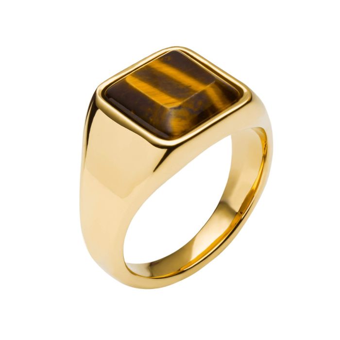 Gecko Jewellery Stainless Steel Signet Ring with Semi Precious Stone