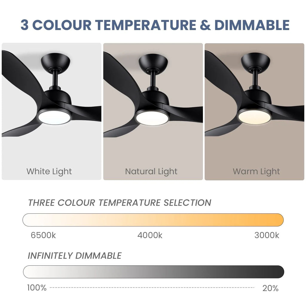 CJOY 42" Ceiling Fan with Light and Remote | Quiet DC Motor, Black