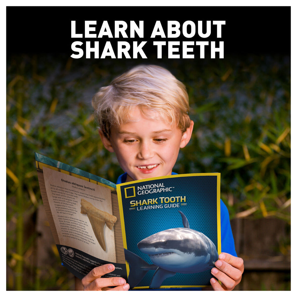 National Geographic Shark Tooth Dig Kit STEM Educational Activity Kit Brand New