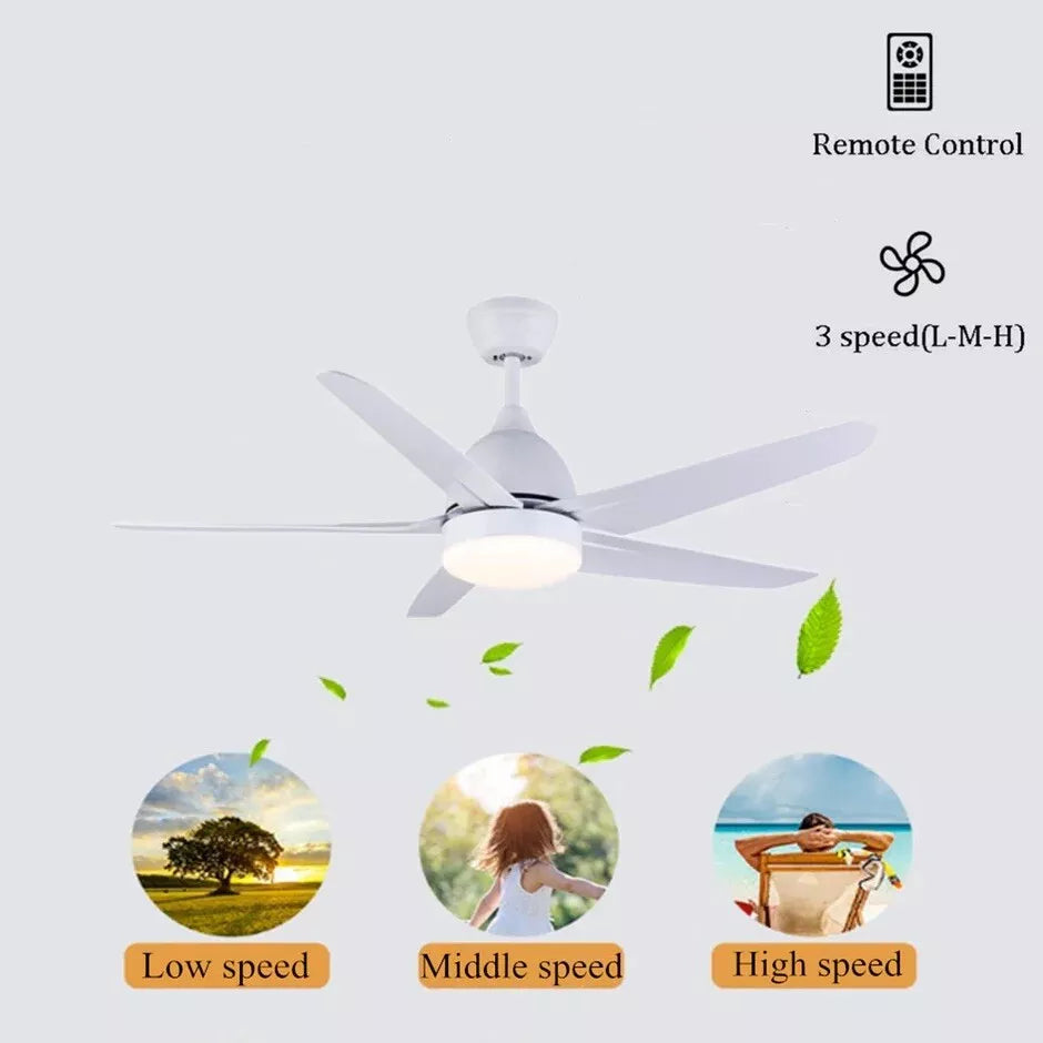 CJOY 52" Ceiling Fan with Dimmable LED Light and Remote, 5 ABS Blades