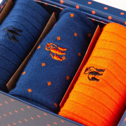 Swole Panda Bamboo Socks Gift Box – 3 Pair Orange and Blue Set