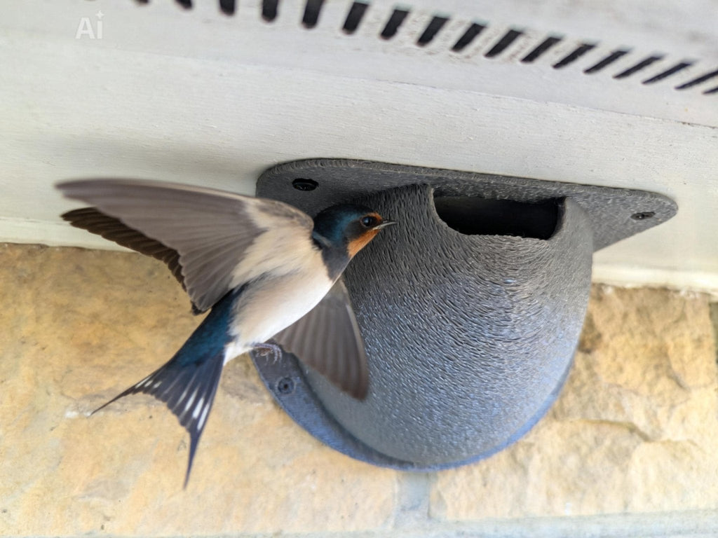 Chaddyverse TARDIS Bird Box – 3D Printed PETG Nesting Box in 2 Sizes