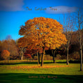 The Golden Tree: Scottish Songs Observed Vol 1 – Limited Edition Vinyl