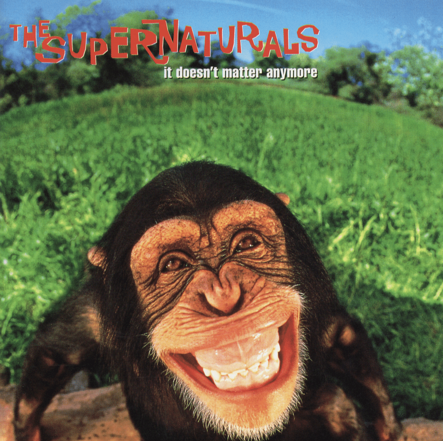 The Supernaturals – It Doesn't Matter Anymore 25th Anniversary Vinyl LP
