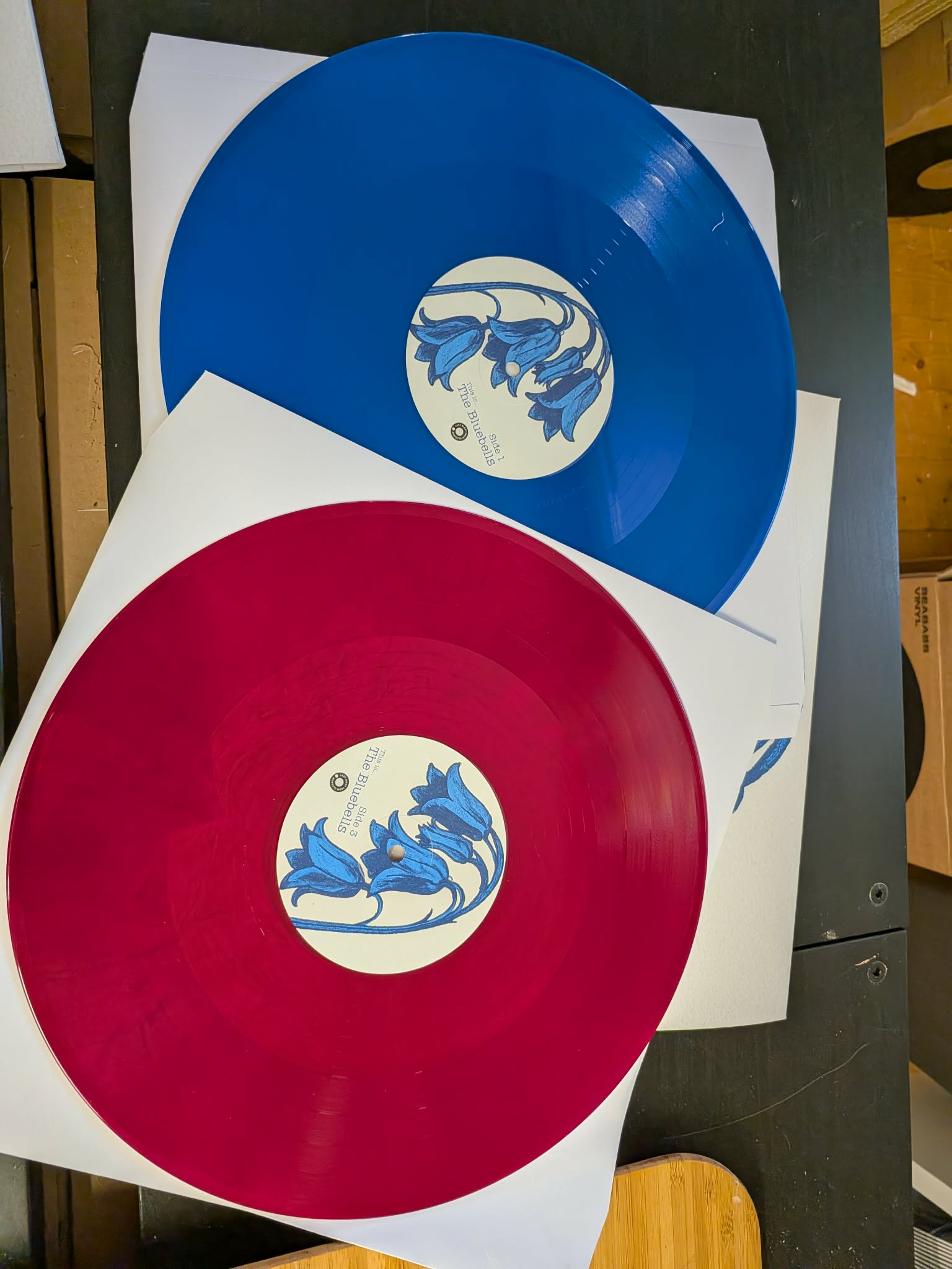 The Bluebells – This is... Vinyl LP, CD & DL | Scottish Indie Rock