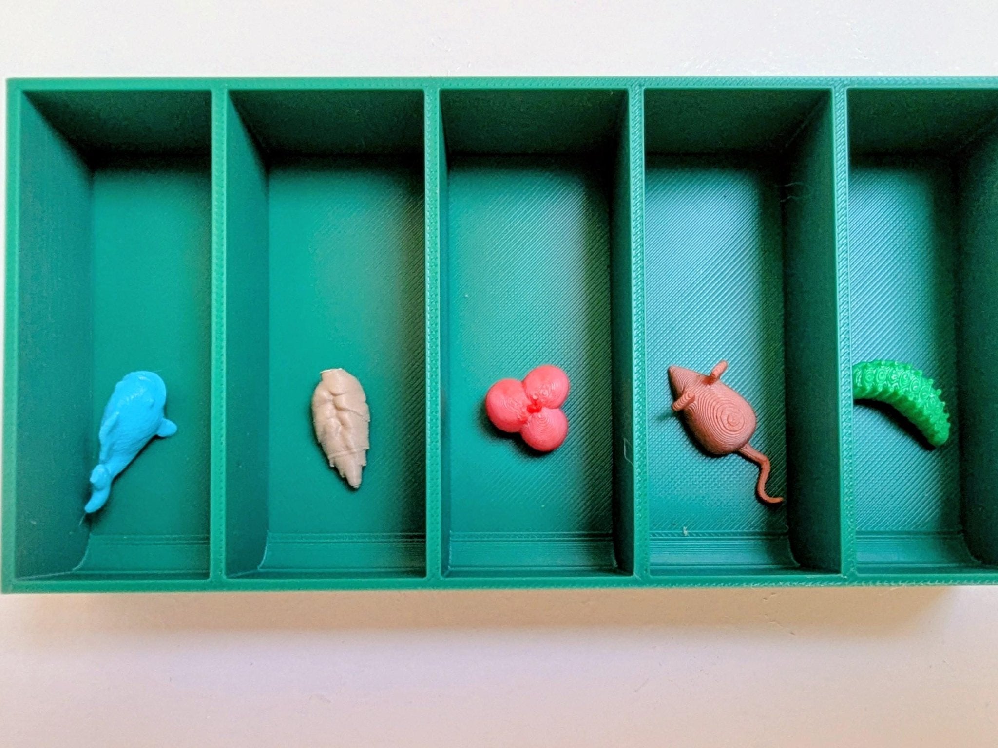 Wingspan Asia Board Game Box Organiser & 3D-Printed Upgrade Kit | Chaddyverse
